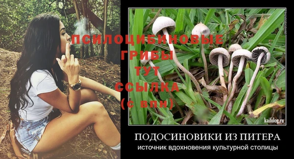 мескалин Пестово