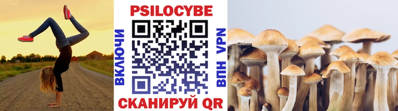 Галлюциногенные грибы Psilocybine cubensis  Нарьян-Мар 