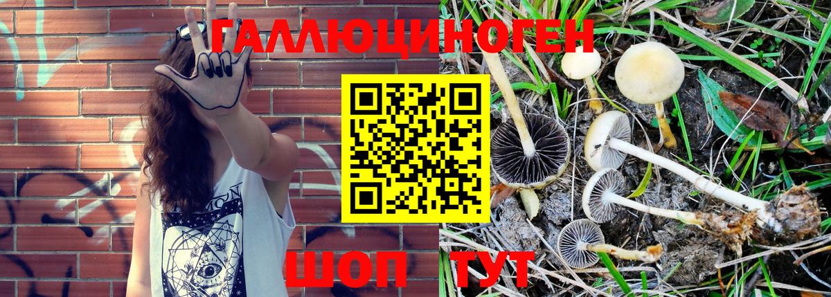 Нарьян-Мар  купить наркоту  Вход с VPN  Галлюциногенные грибы MAGIC MUSHROOMS 