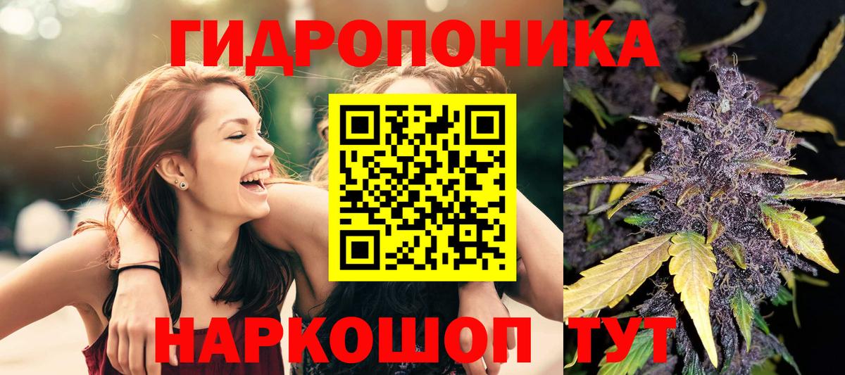Бошки Шишки план Нарьян-Мар